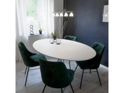 Taco Elipse - Table à Manger En Bois 160x110 - Couleur - Blanc -Vous savez quand c'est un magasin de meubles. table a manger 13296609