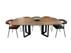 Table Ovale Noyer Naturel Et Métal - 220L X 115P