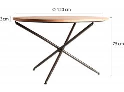 Table De Salon Tirkane 17 Table De Salon Tirkane -Vous savez quand c'est un magasin de meubles. table a manger 15465891