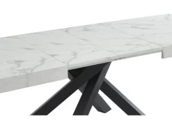 Table à Manger Extensible 6 à 10 Couverts En MDF Et Métal - Effet Marbre Blanc Et Noir - CATONAV 20 Table à Manger Extensible 6 à 10 Couverts En MDF Et Métal - Effet Marbre Blanc Et Noir - CATONAV -Vous savez quand c'est un magasin de meubles. table a manger 22039273