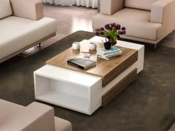 Table Basse Avec 2 Niches - Naturel Et Blanc - BASENA II