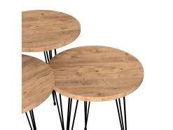 Set De 3 Tables D'appoint Ry Rondes Gigognes Naturel Noir [en.casa] -Vous savez quand c'est un magasin de meubles. table basse 12292017