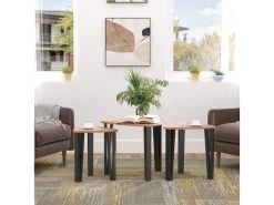 Lot De 3 Tables Basses Gigogne MOWGLI Bois De Noyer -Vous savez quand c'est un magasin de meubles. table basse 19185993