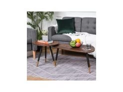 Lot De 2 Tables Basses BRANDO Marron -Vous savez quand c'est un magasin de meubles. table basse 19186185