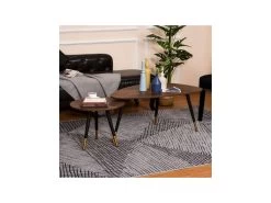 Lot De 2 Tables Basses BRANDO Marron -Vous savez quand c'est un magasin de meubles. table basse 19186191