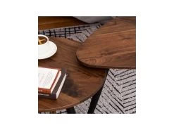 Lot De 2 Tables Basses BRANDO Marron -Vous savez quand c'est un magasin de meubles. table basse 19186193