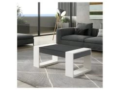 Table Basse Relevable Chêne Gris/Bois Blanc - PLAMOR