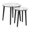 LEILANIE - Lot De 2 Tables Gigognes Plateaux Motif Jungle -Vous savez quand c'est un magasin de meubles. table basse 9172453