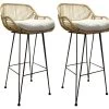 Lot De 2 Tabourets De Bar En Rotin Et Métal Noir - GOA -Vous savez quand c'est un magasin de meubles. tabouret de bar 9145777